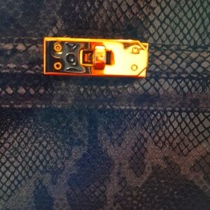 Valerie Steven's Python handbag.